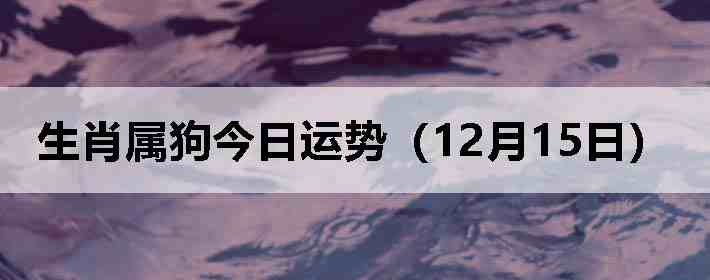 ��Ф�����������ƣ�12��15�գ�