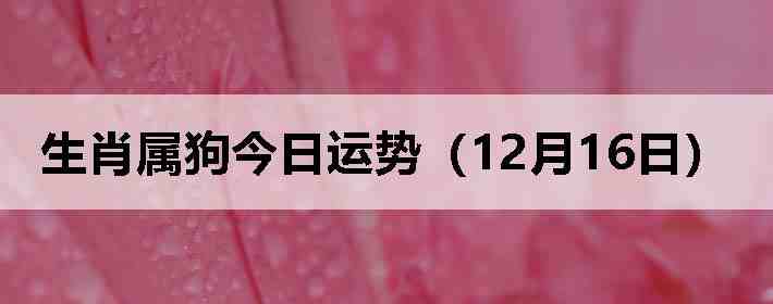 ��Ф�����������ƣ�12��16�գ�