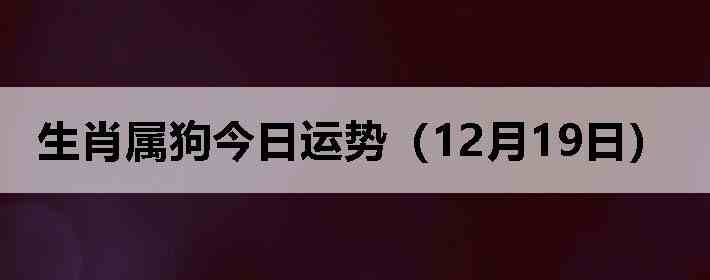 ��Ф�����������ƣ�12��19�գ�