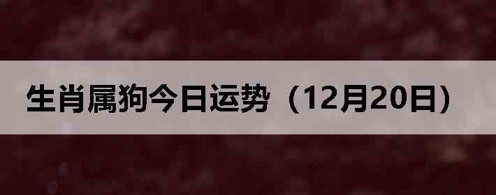 ��Ф�����������ƣ�12��20�գ�