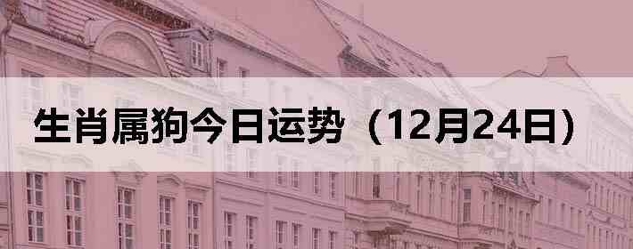 ��Ф�����������ƣ�12��24�գ�