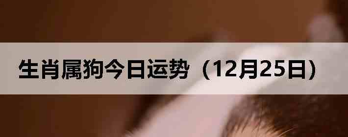 ��Ф�����������ƣ�12��25�գ�