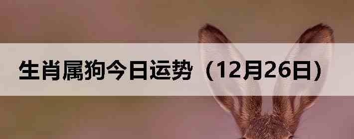 ��Ф�����������ƣ�12��26�գ�