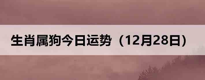 ��Ф�����������ƣ�12��28�գ�