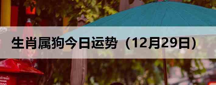 ��Ф�����������ƣ�12��29�գ�