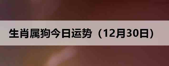 ��Ф�����������ƣ�12��30�գ�