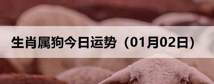 ��Ф�����������ƣ�01��02�գ�