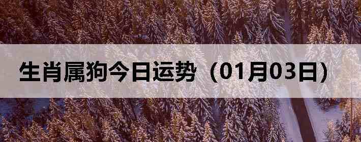 ��Ф�����������ƣ�01��03�գ�