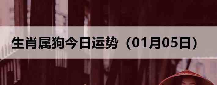 ��Ф�����������ƣ�01��05�գ�