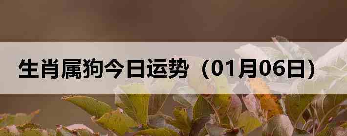 ��Ф�����������ƣ�01��06�գ�