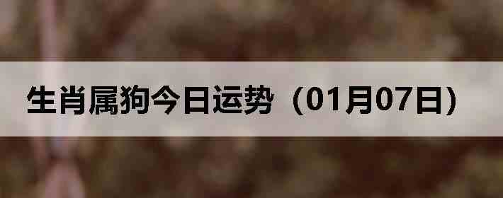 ��Ф�����������ƣ�01��07�գ�