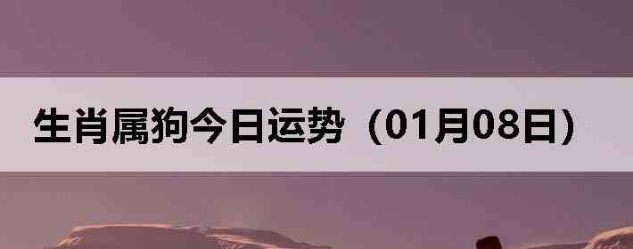 ��Ф�����������ƣ�01��08�գ�