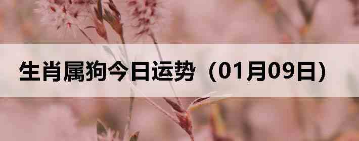 ��Ф�����������ƣ�01��09�գ�