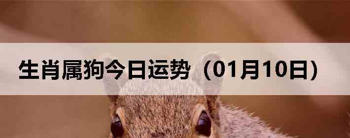 ��Ф�����������ƣ�01��10�գ�