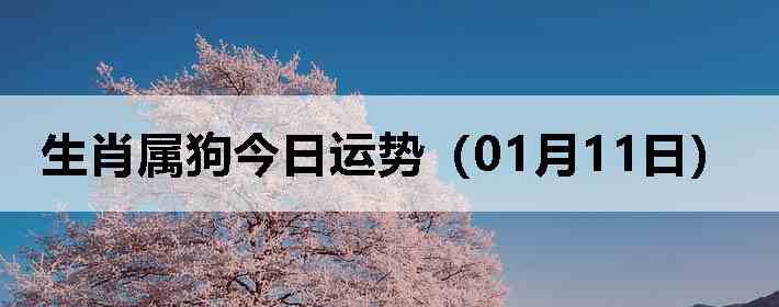 ��Ф�����������ƣ�01��11�գ�