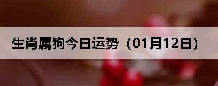 ��Ф�����������ƣ�01��12�գ�