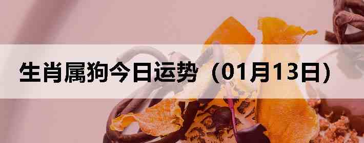 ��Ф�����������ƣ�01��13�գ�