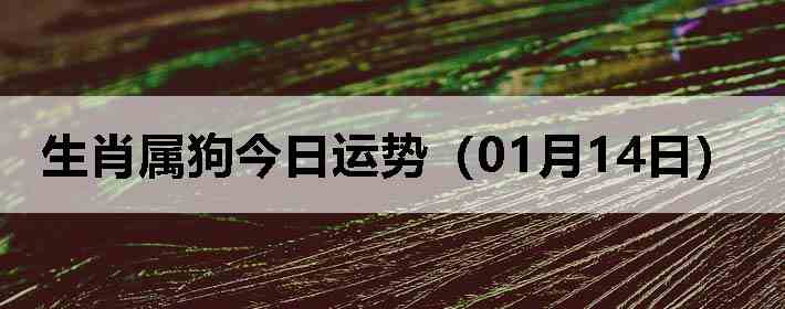 ��Ф�����������ƣ�01��14�գ�