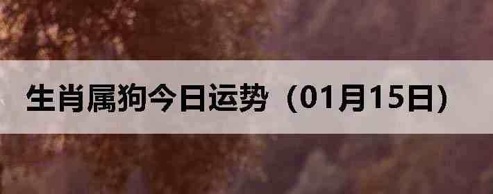 ��Ф�����������ƣ�01��15�գ�