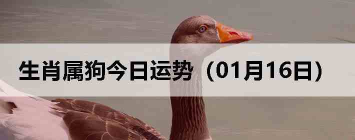 ��Ф�����������ƣ�01��16�գ�