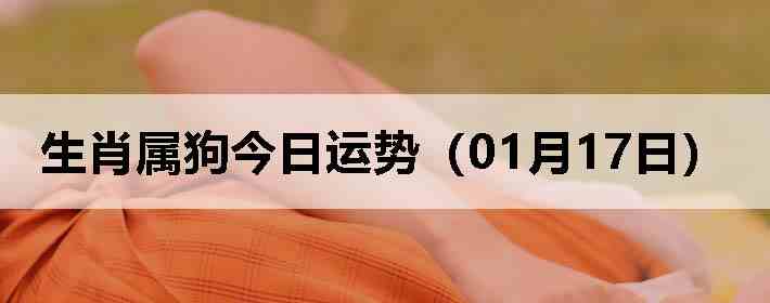 ��Ф�����������ƣ�01��17�գ�