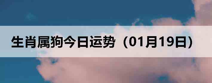 ��Ф�����������ƣ�01��19�գ�