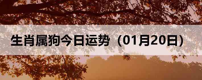 ��Ф�����������ƣ�01��20�գ�