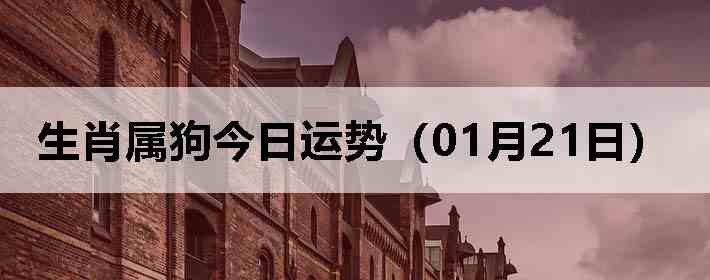 ��Ф�����������ƣ�01��21�գ�