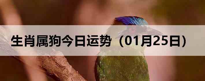 ��Ф�����������ƣ�01��25�գ�