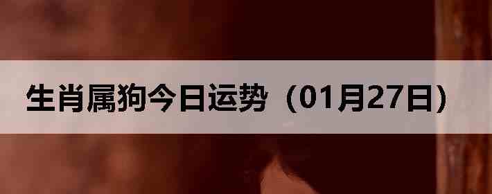 ��Ф�����������ƣ�01��27�գ�