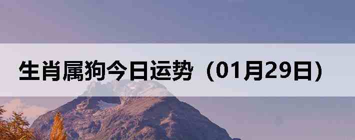 ��Ф�����������ƣ�01��29�գ�