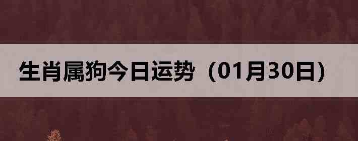 ��Ф�����������ƣ�01��30�գ�