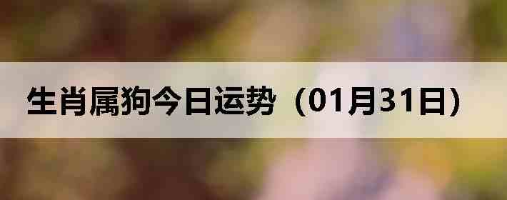 ��Ф�����������ƣ�01��31�գ�