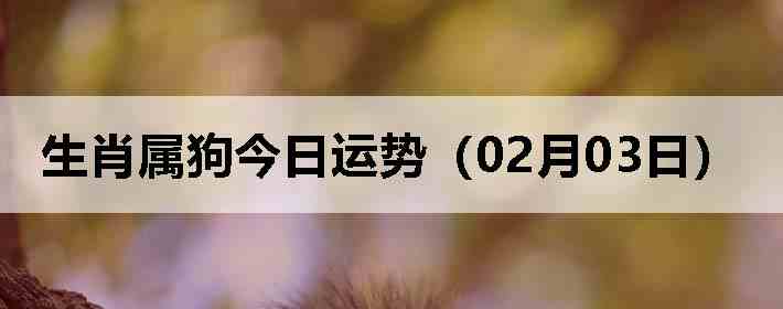 ��Ф�����������ƣ�02��03�գ�