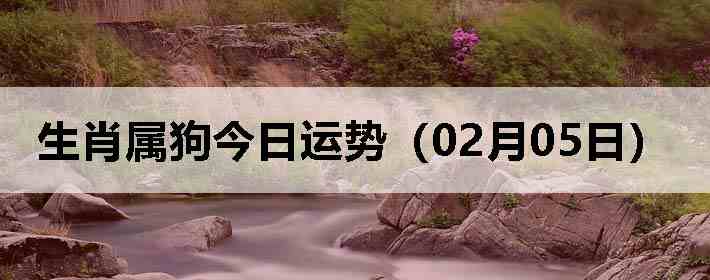 ��Ф�����������ƣ�02��05�գ�