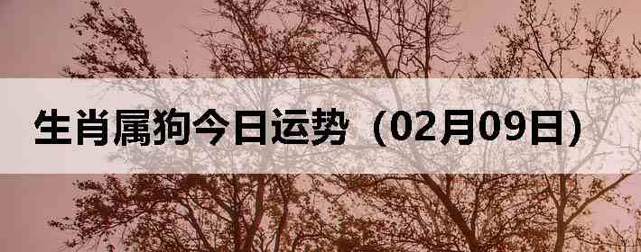 ��Ф�����������ƣ�02��09�գ�