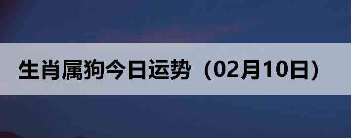 ��Ф�����������ƣ�02��10�գ�