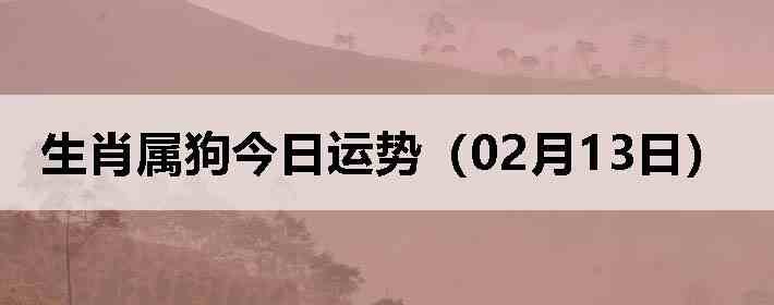 ��Ф�����������ƣ�02��13�գ�