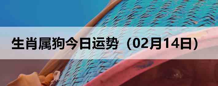 ��Ф�����������ƣ�02��14�գ�