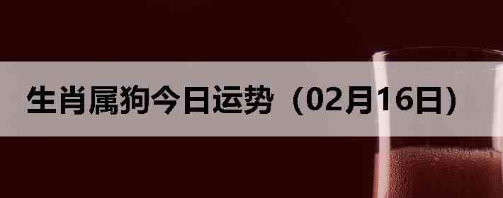 ��Ф�����������ƣ�02��16�գ�