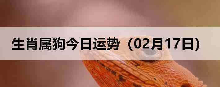 ��Ф�����������ƣ�02��17�գ�