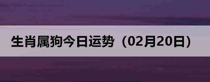 ��Ф�����������ƣ�02��20�գ�