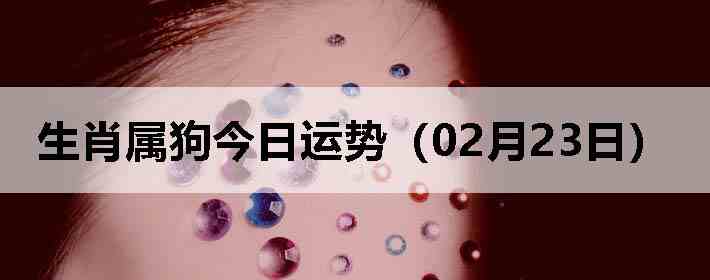 ��Ф�����������ƣ�02��23�գ�