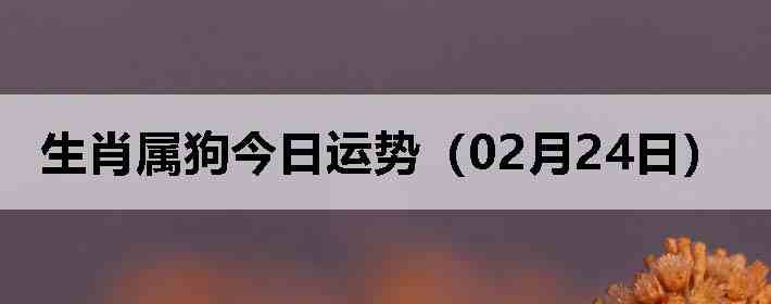 ��Ф�����������ƣ�02��24�գ�