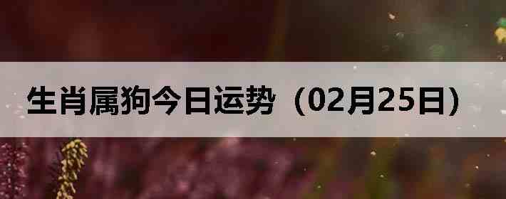 ��Ф�����������ƣ�02��25�գ�