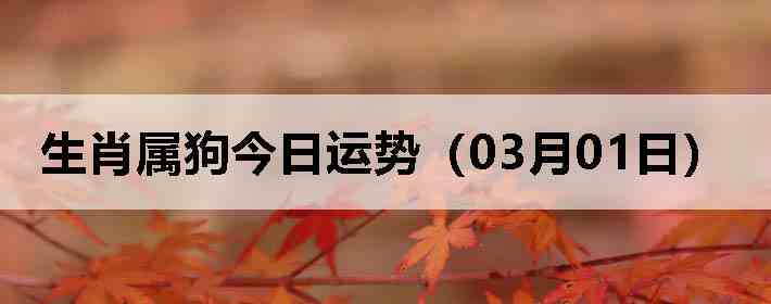 ��Ф�����������ƣ�03��01�գ�