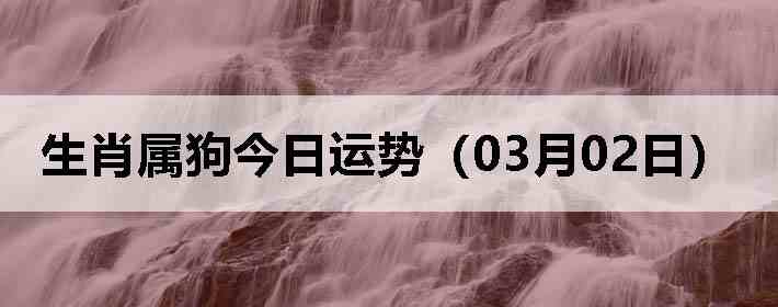 ��Ф�����������ƣ�03��02�գ�