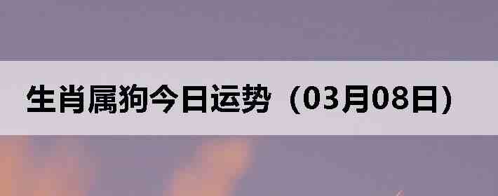 ��Ф�����������ƣ�03��08�գ�