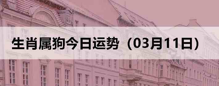 ��Ф�����������ƣ�03��11�գ�