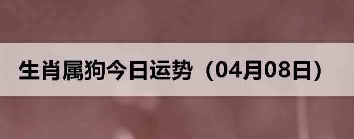 ��Ф�����������ƣ�04��08�գ�